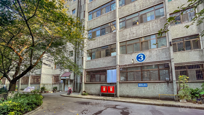 交通厅家属院外景图