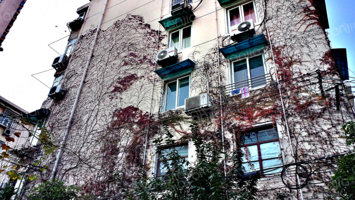 嘉善路232弄外景图