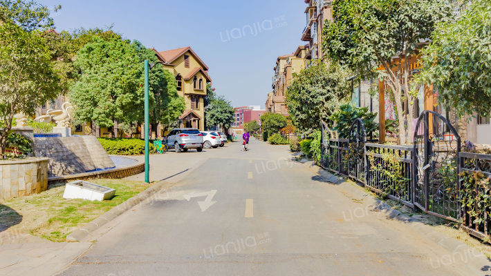 香奈天鹅湖外景图