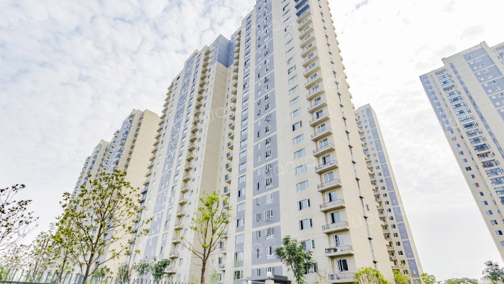 雄楚春天外景图