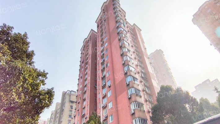 桃林公寓外景图