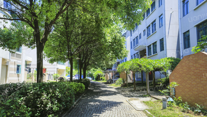 金星家园外景图