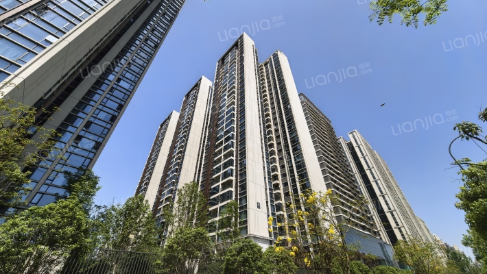 中建天府公馆二期外景图