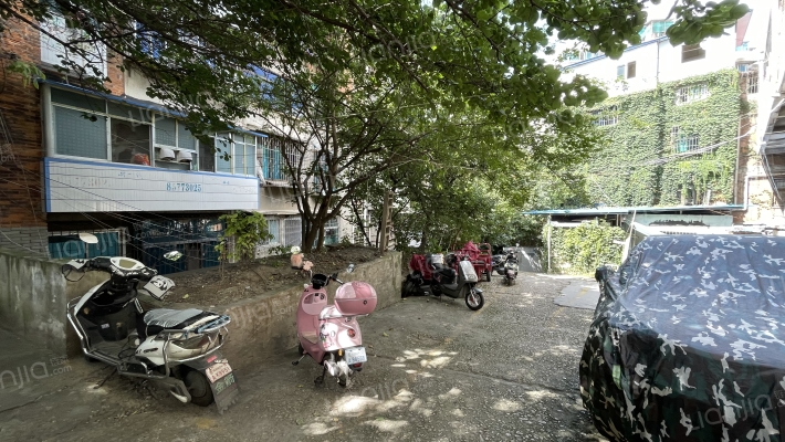 沙冲中路23号外景图