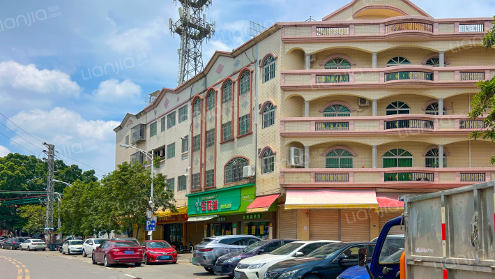 北滘自建房高村村委会外景图