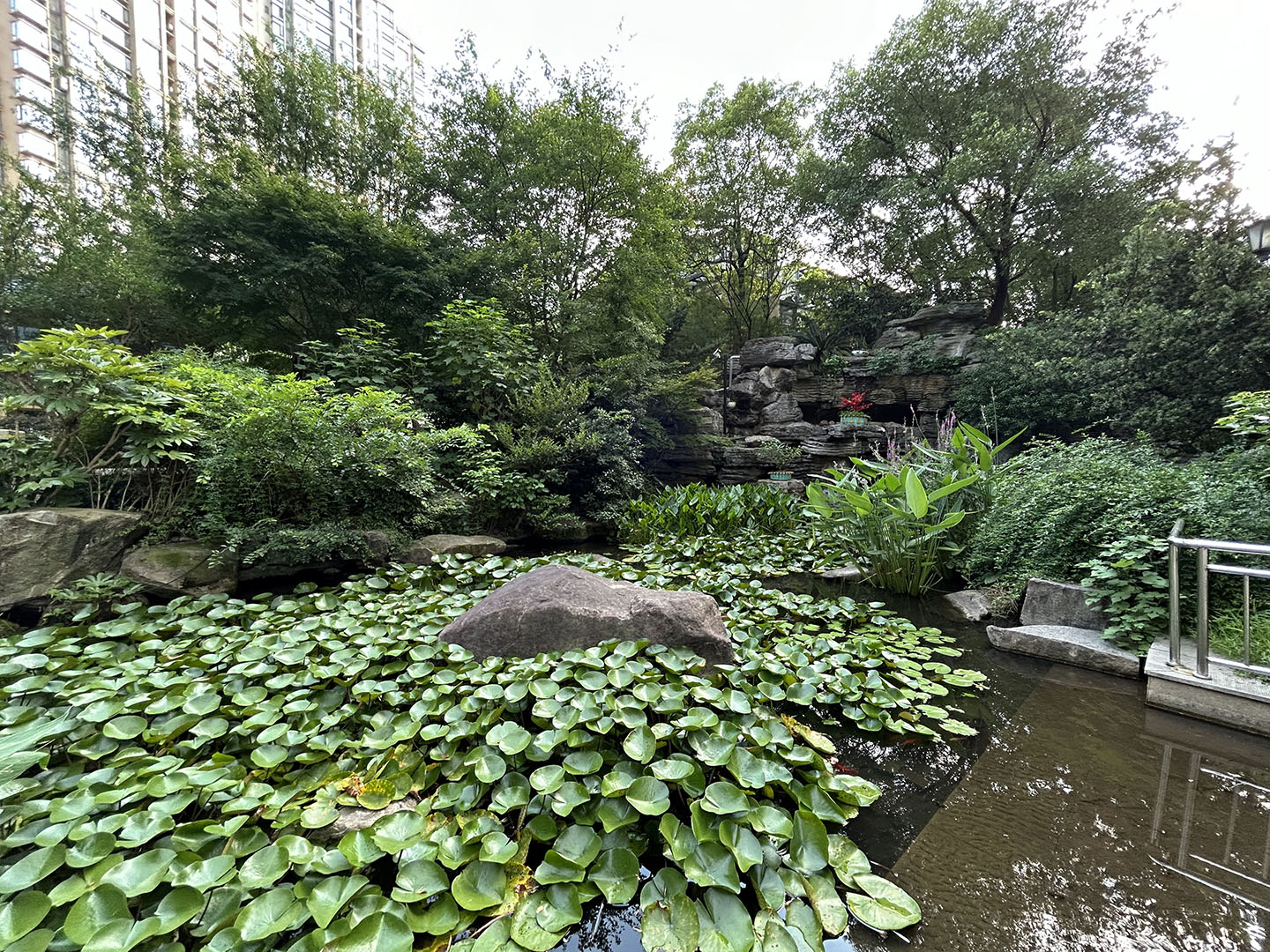 钱塘山水小区实景 19