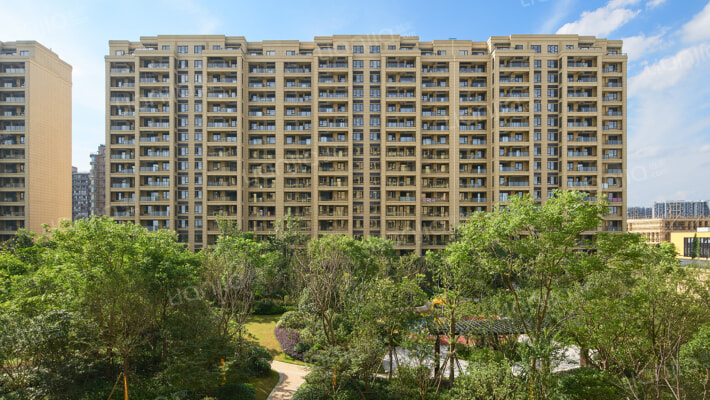 天阳晴朗外景图