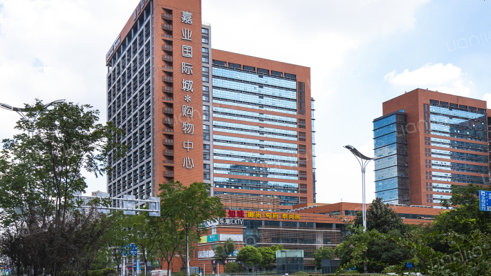 嘉业国际城外景图