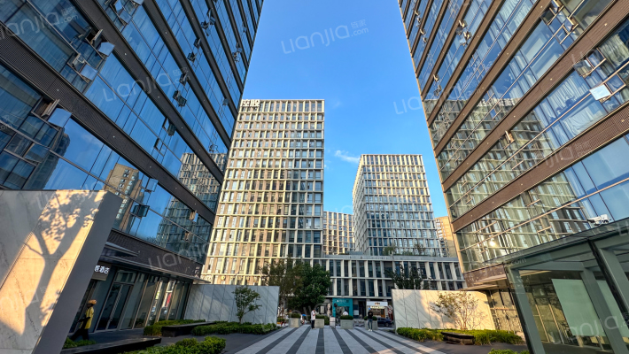 申花掬月外景图