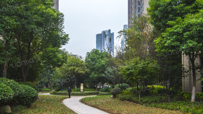 联发九都府外景图