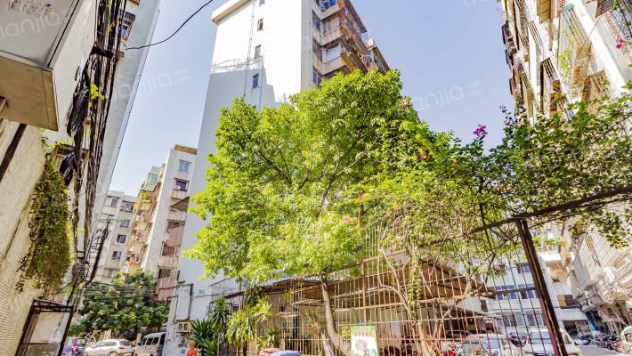 新华镇桂花楼外景图