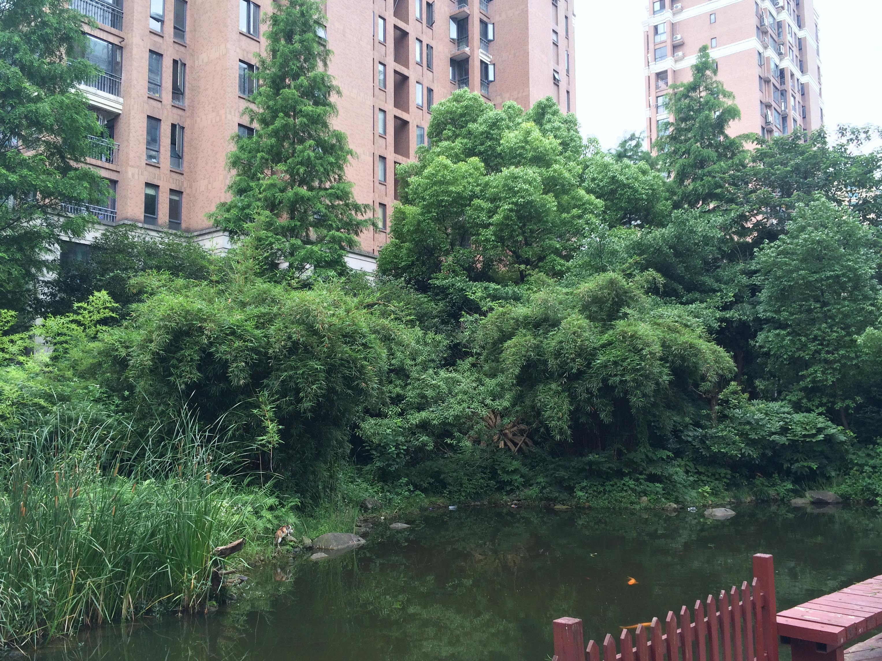 Baijin Haian compound photo 22
