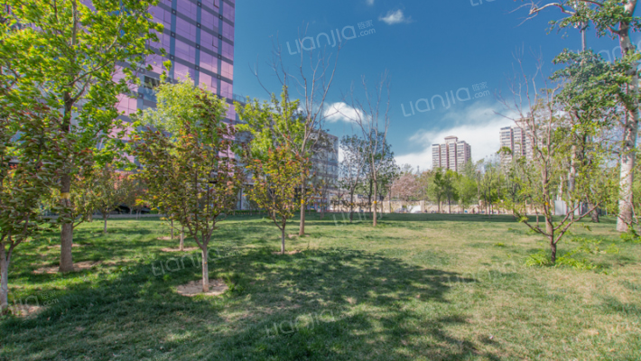 华业国际中心外景图