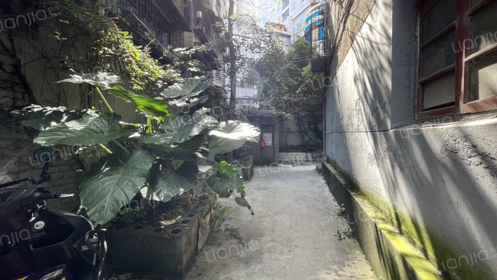 凌云街54号外景图