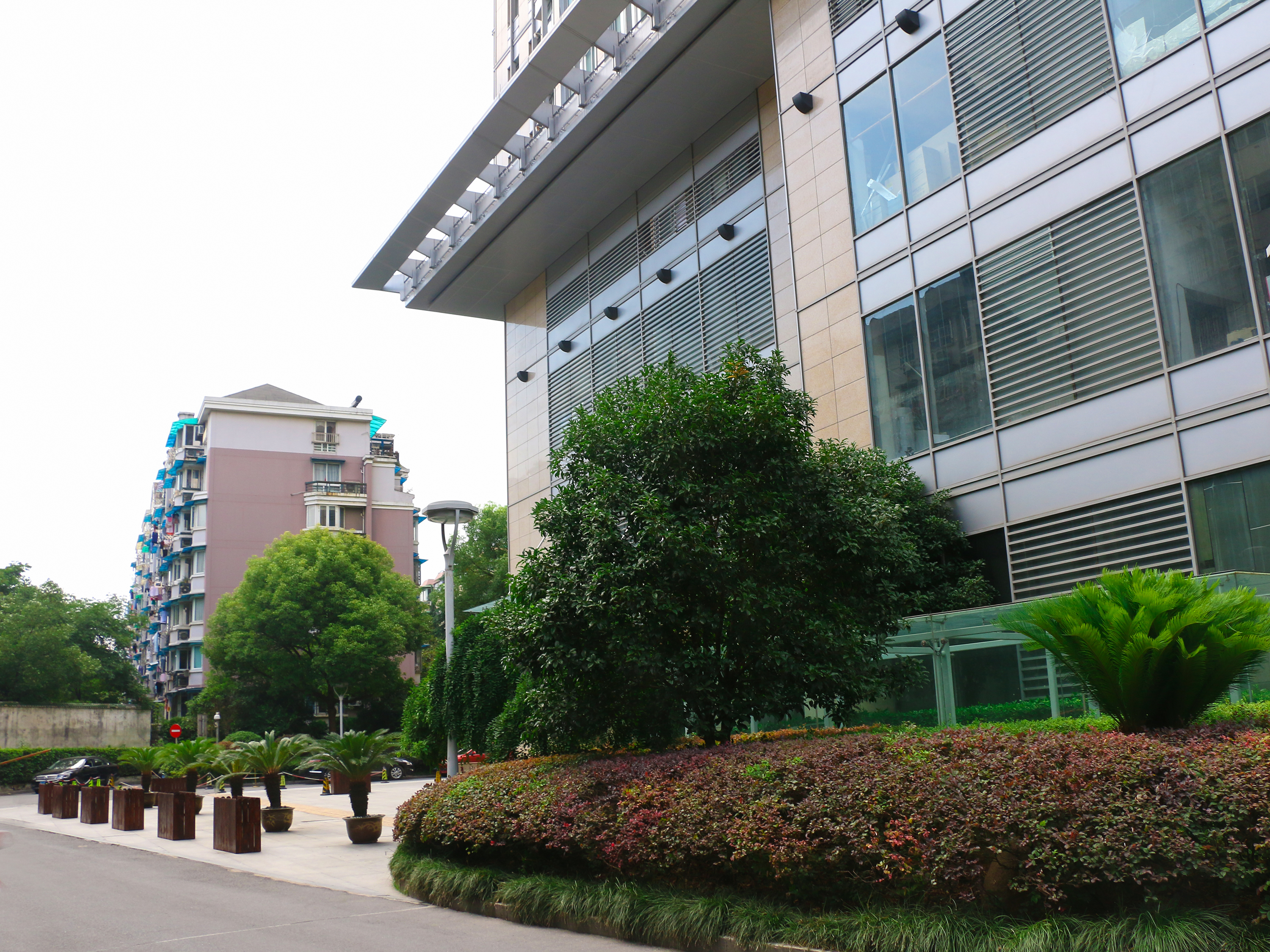 New Town Plaza compound photo 8