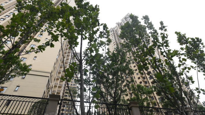 融创凡尔赛领馆四期外景图