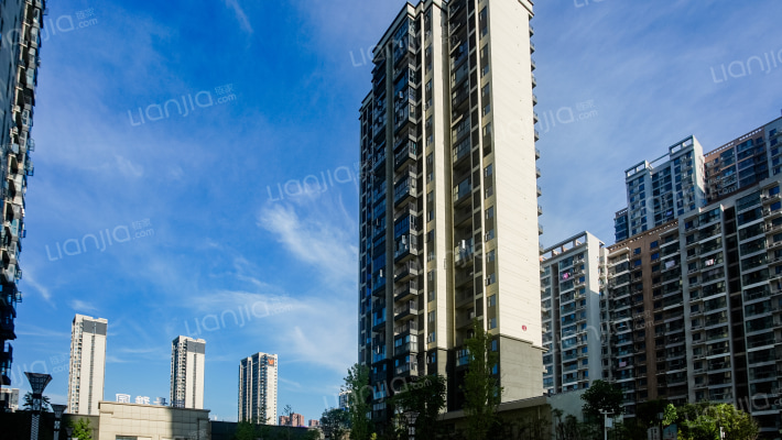 御景雅园外景图