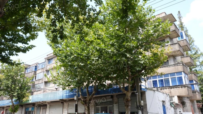 化肥新村（沙南公路）外景图