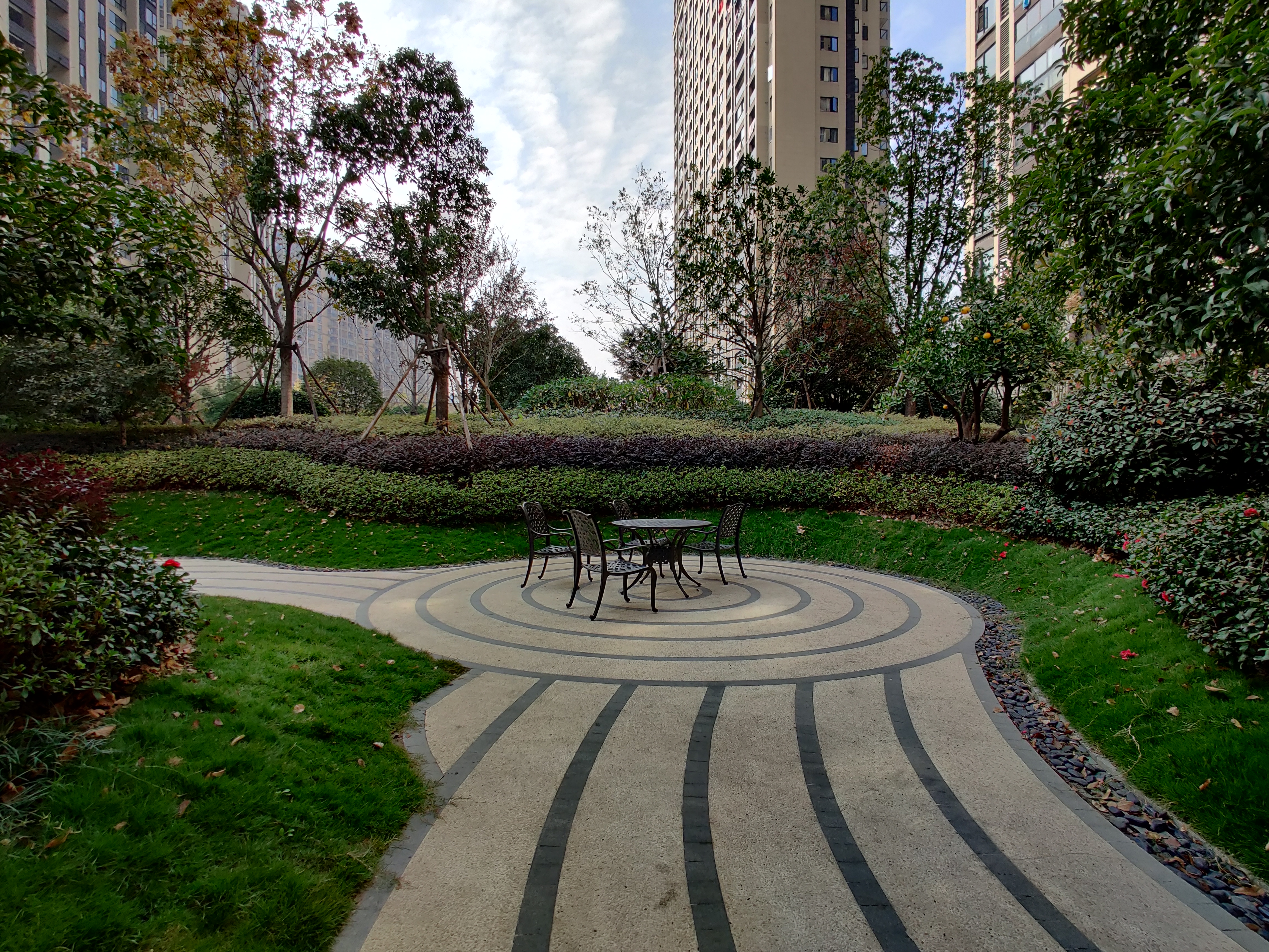 Jin Mao Yue compound photo 8