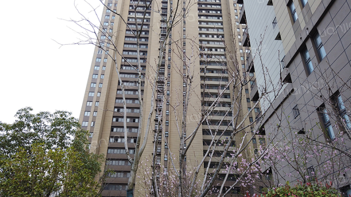 瑞福城凤仪园外景图