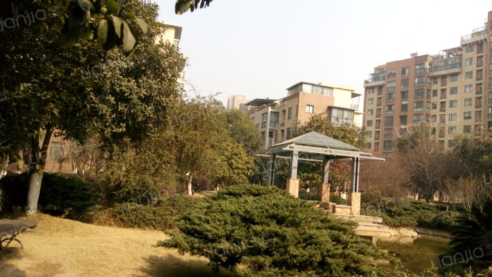 东方明珠外景图