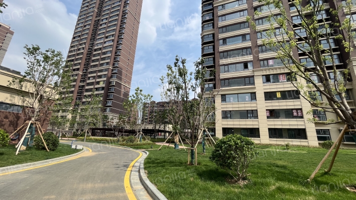 金浦御龙湾I区外景图