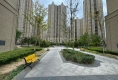 浮来春公馆户型图实景图