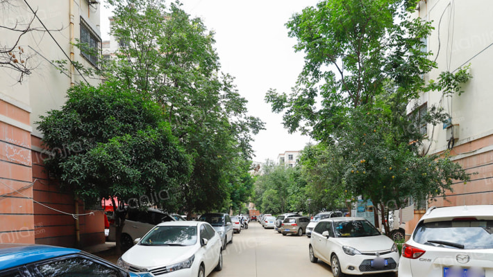 银榕花园外景图