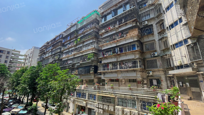 新金花园外景图