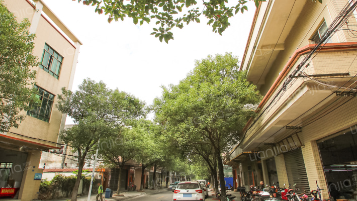 三角医院外景图