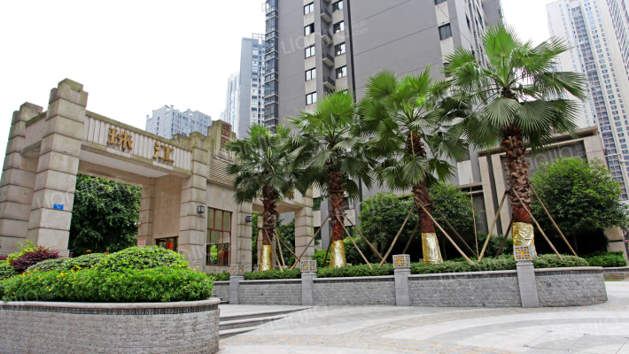 珠江国际外景图