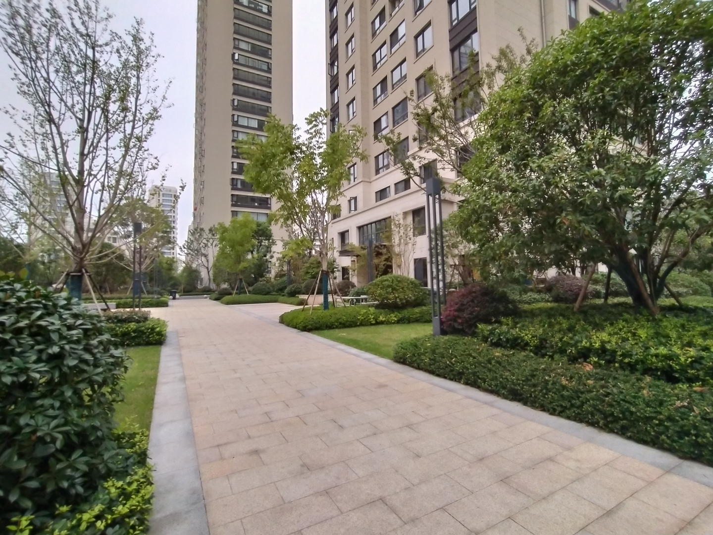 海上明月小区实景 9