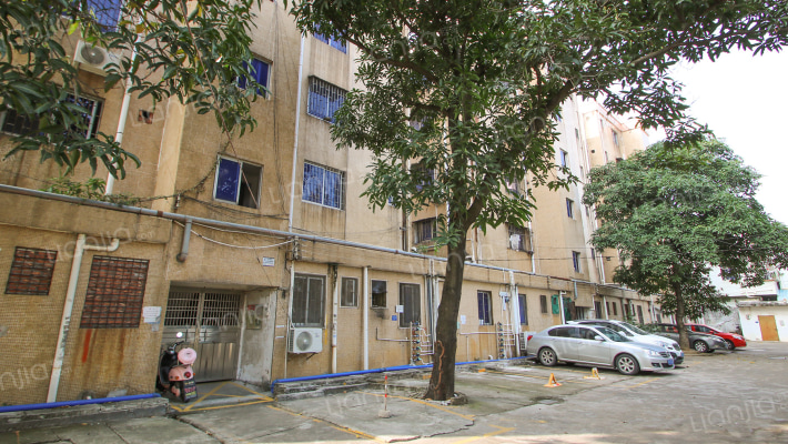 民众一期教师楼外景图