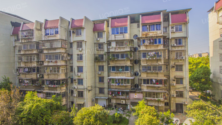 桃苑一区外景图