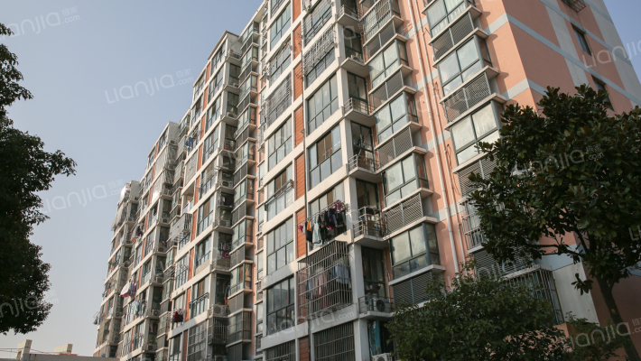 金山嘉园外景图