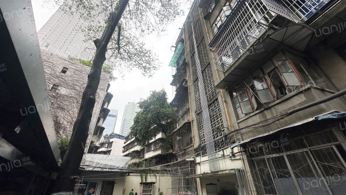 金盾路50号外景图