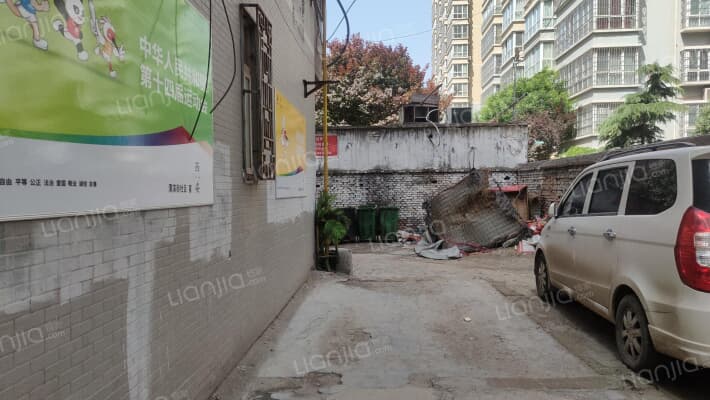 中华沙棘外景图