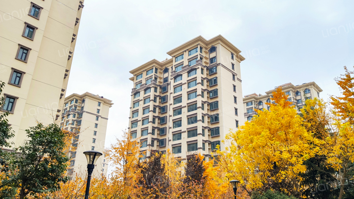 仲村新小区东区外景图