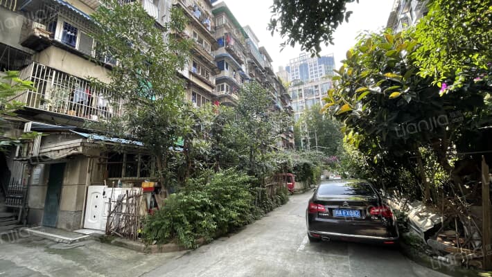 抚琴西路199号外景图