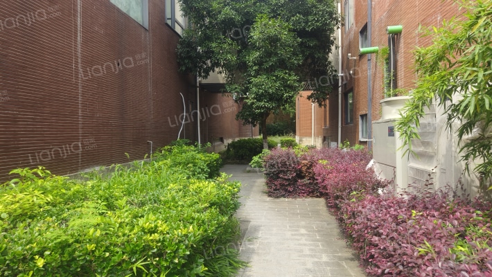 富力十号往来外景图