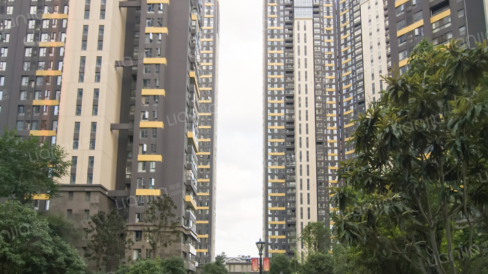 福星华府外景图