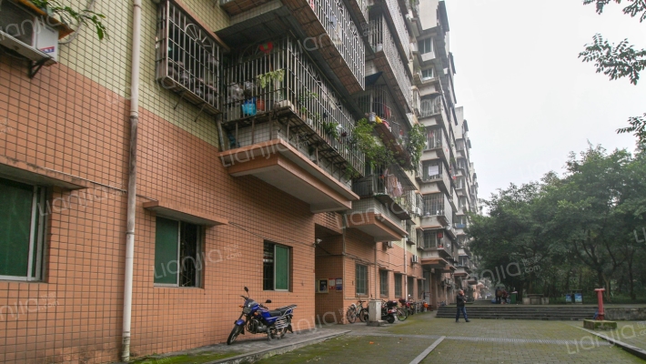 红光新村外景图