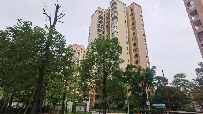 光华美地外景图