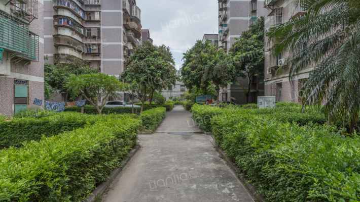 莲岳里小区东区外景图