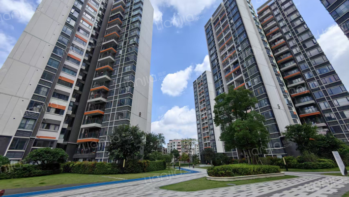 十畝芳华里外景图