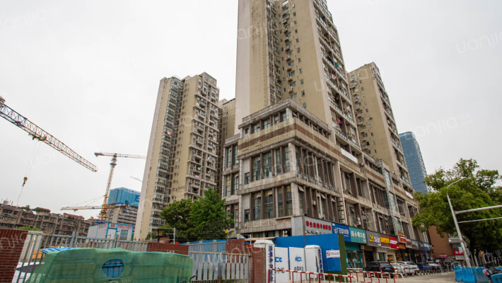 瑞地自由度外景图