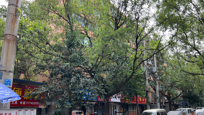 东郊单位家属院（景龙池6号院）外景图