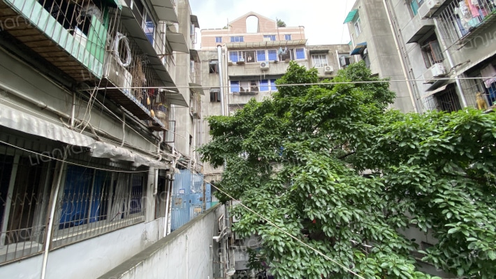 新街50号外景图