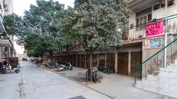 齐礼阎东街51号外景图