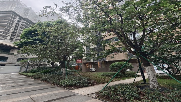花地湾荷花苑外景图